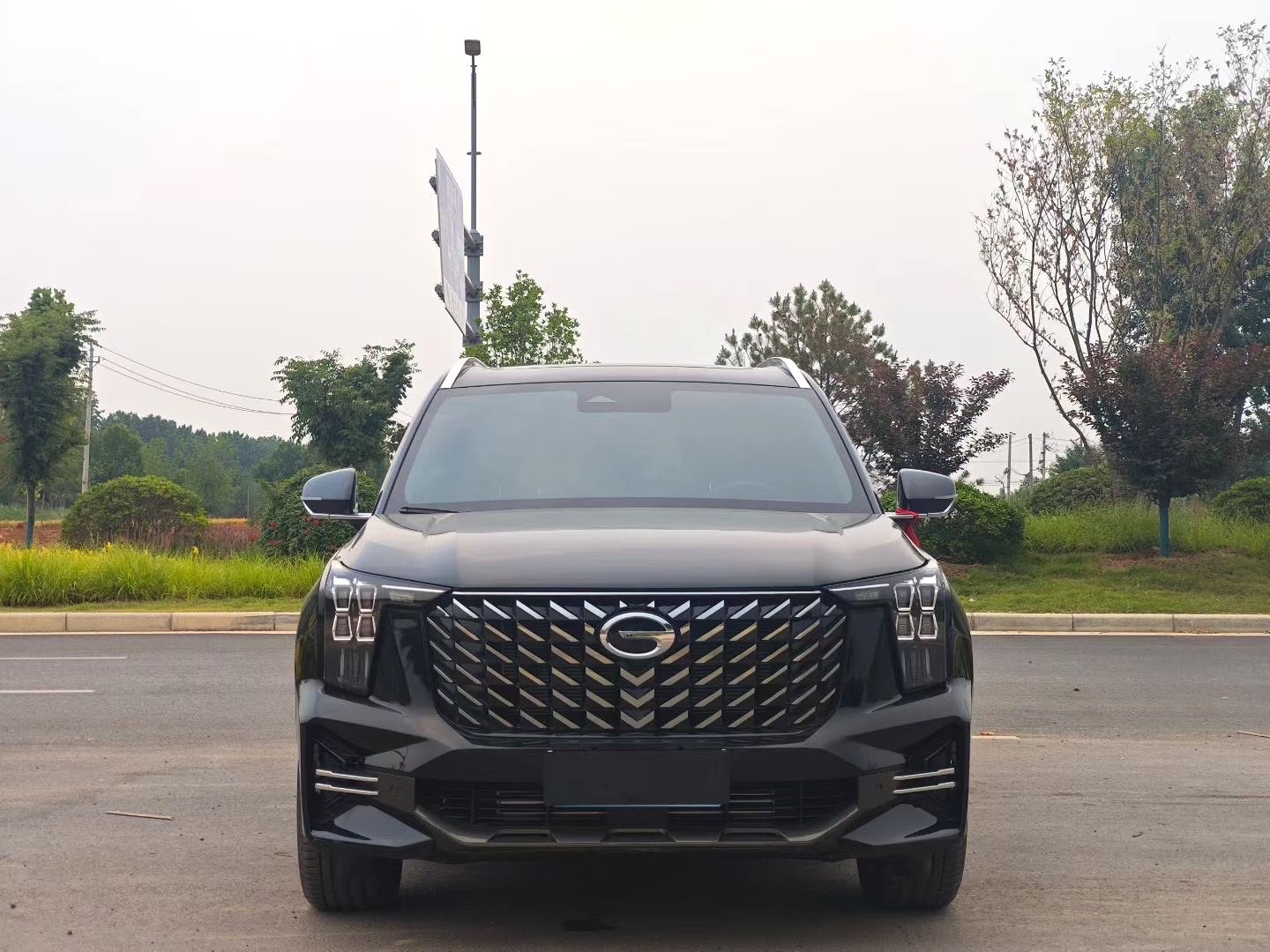 2024 GAC Trumpchi GS8, 2024 model, 7-seater, 2.0TGDI, Pilot Series, 2WD Luxury Smart Connect Version